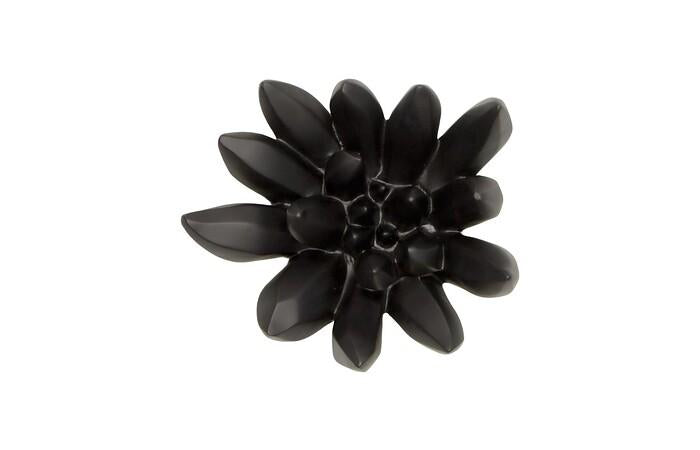 Compactum Succulent Wall Art — One Size, Smooth Matte Black
