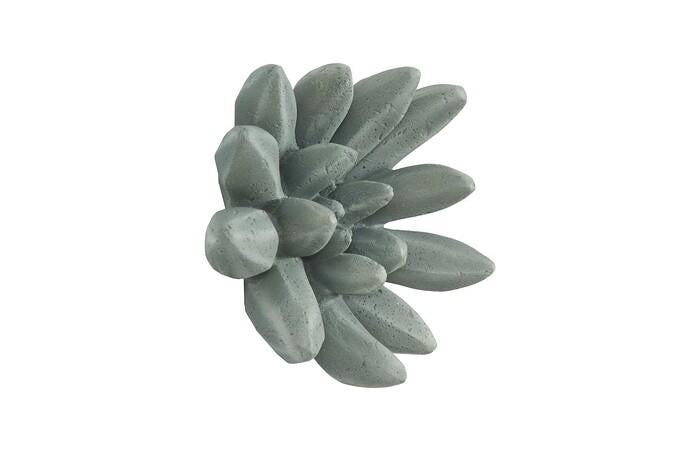 Compactum Succulent Wall Art, Forest — view 2
