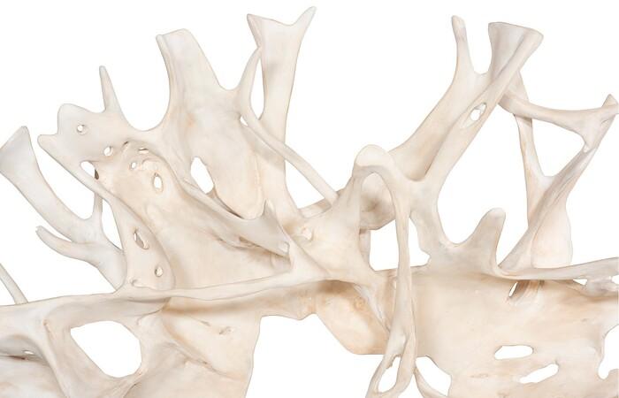Cast Root Wall Decor — view 4