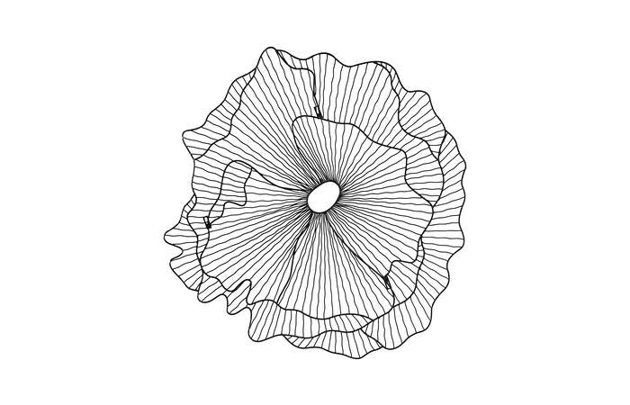 Poppy Flower Wall Art — view 18
