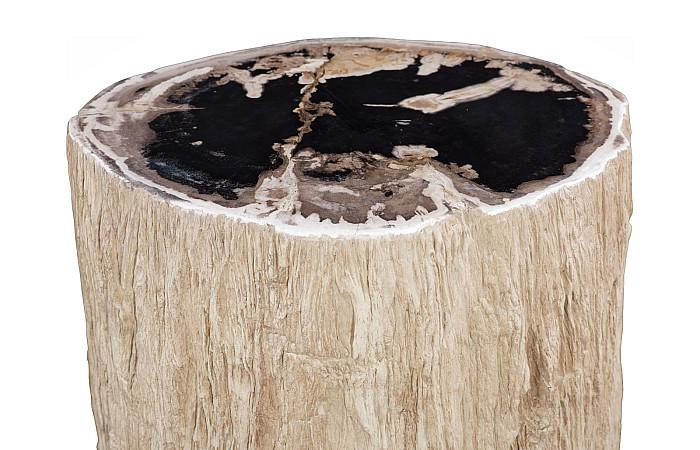 Chaka Petrified Side Table Coffee Tables Phillips Collection