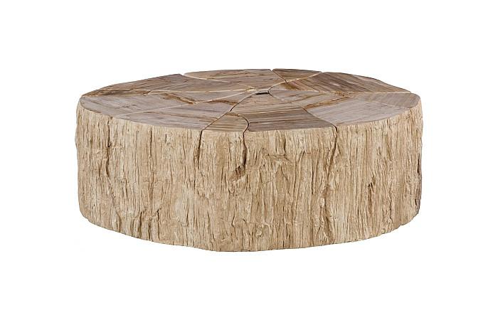 Converge Petrified Coffee Table