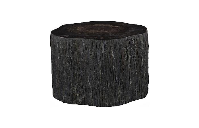 Converge Petrified Coffee Table