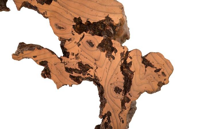 Burled Root Wall Art — view 19