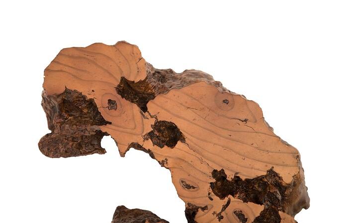 Burled Root Wall Art — view 20