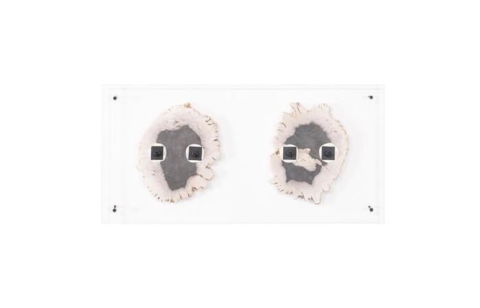 Floating Petrified Double Slice Wall Art — view 6