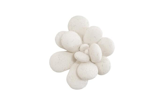 Oviferum Succulent Wall Art — One Size, White Stone