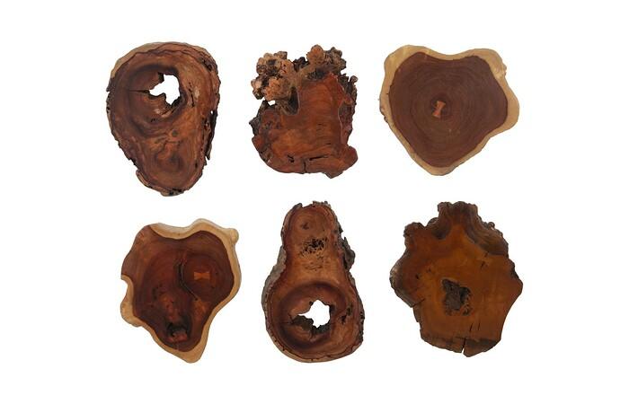 Pradoo Burled Wood Wall Decor — view 7