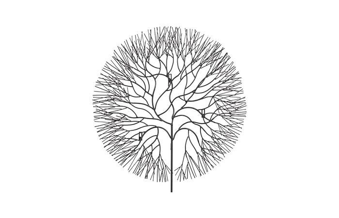 Wire Tree Wall Art, Circle, Metal — Large, Black