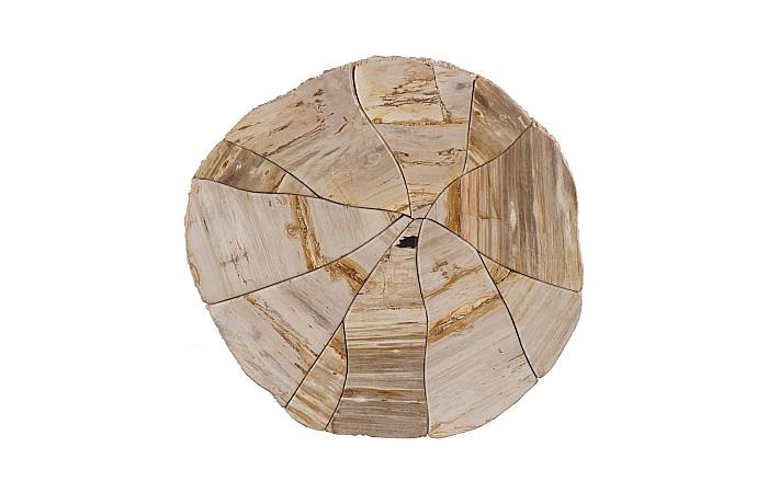 Converge Petrified Coffee Table