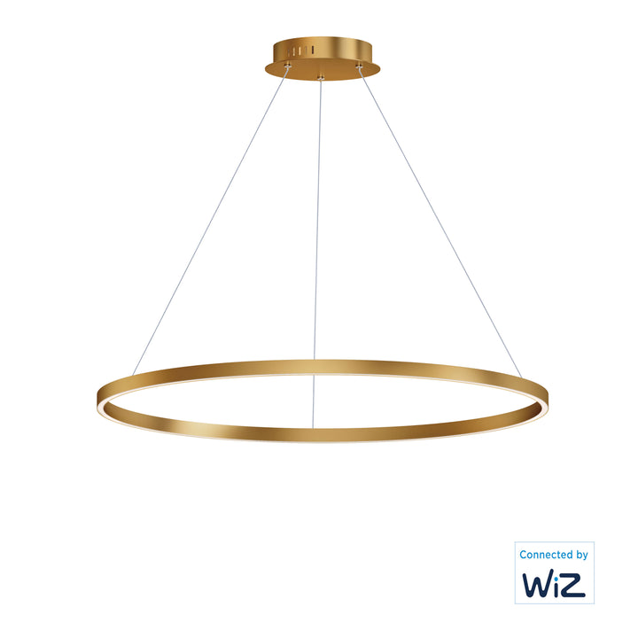 Groove 40" LED Pendant WiZ by ET2 Lighting in Gold finish
