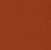 22 Longlife Rustika Indio Leather Swatch by Himolla
