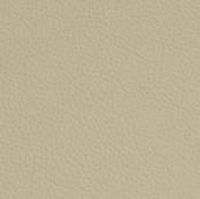22 Longlife Soft Delfin Leather Swatch by Himolla