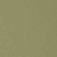 24 Longlife Mint Leather Swatch by Himolla