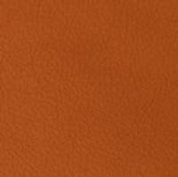 24 Longlife Orange Leather Swatch by Himolla