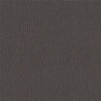 24 Longlife Rustika Afrika Leather Swatch by Himolla