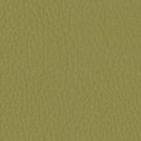 24 Longlife Rustika Olive Leather Swatch by Himolla