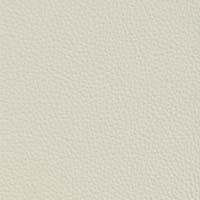 33 Longlife Soft Rettic Leather Swatch by Himolla