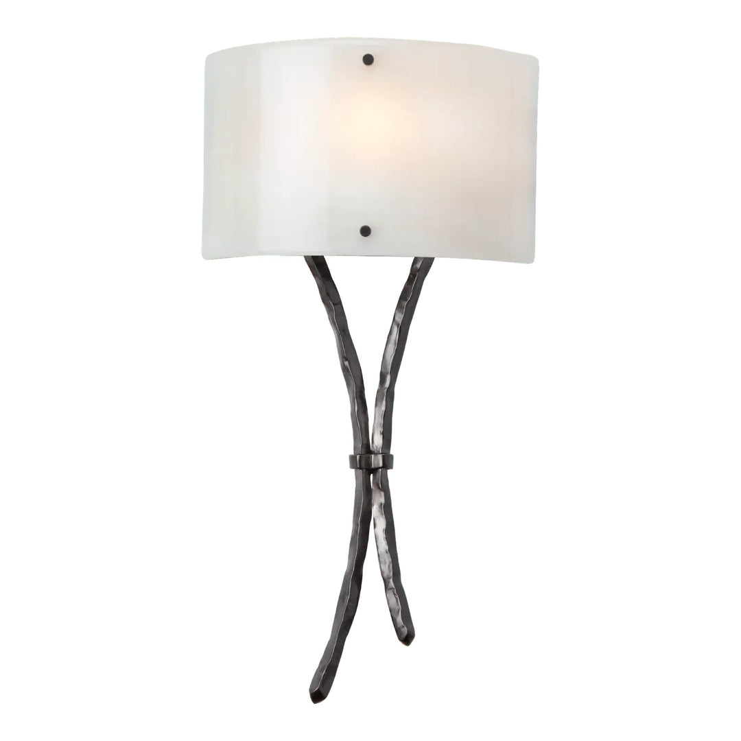 Ironwood Sprout Sconce by Hammerton Studio