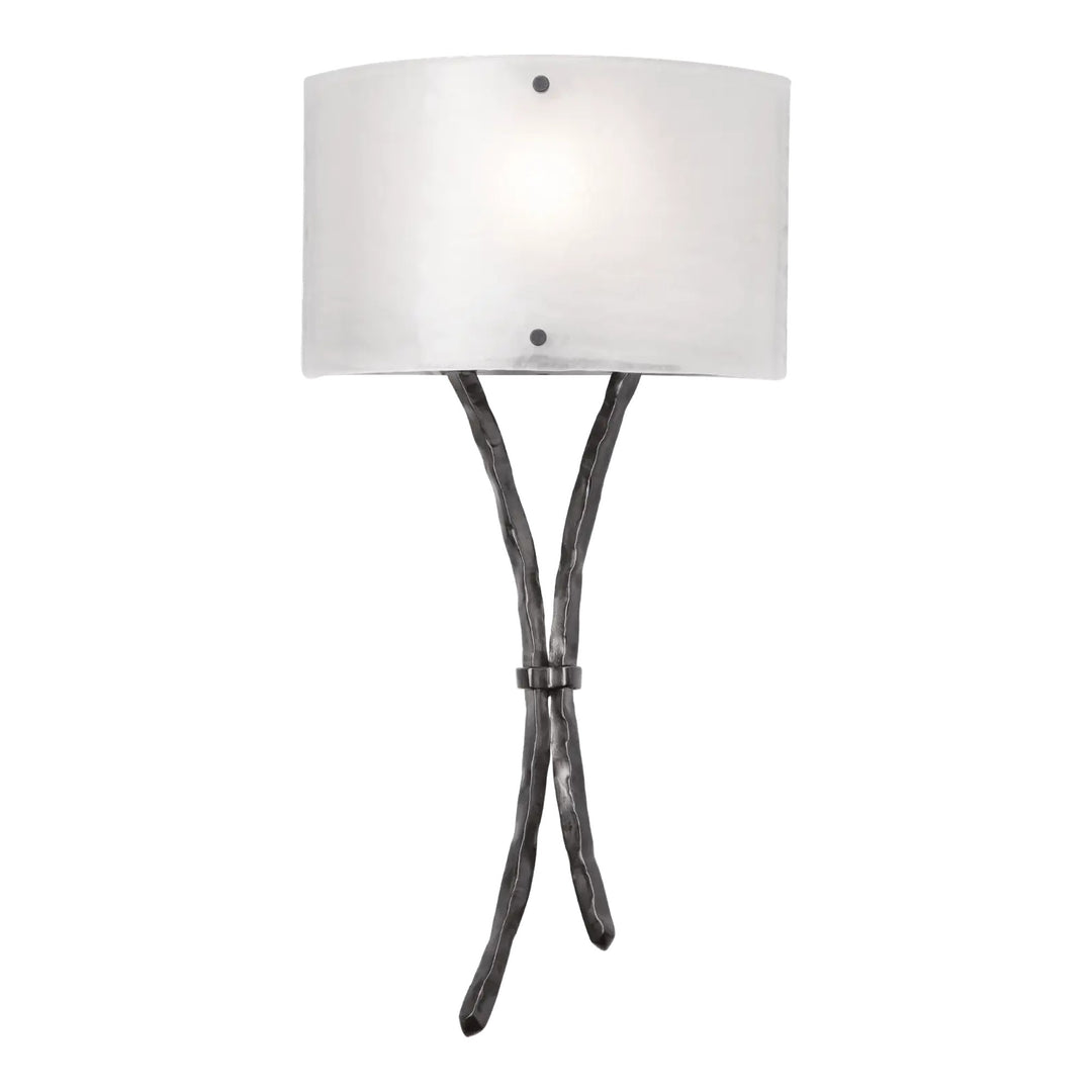 Ironwood Sprout Sconce by Hammerton Studio in Matte Black with Frosted Granite glass