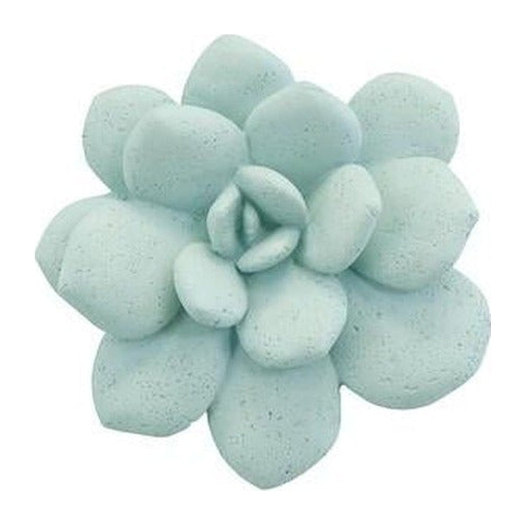 Laui Succulent Wall Art, Sage Phillips Collection