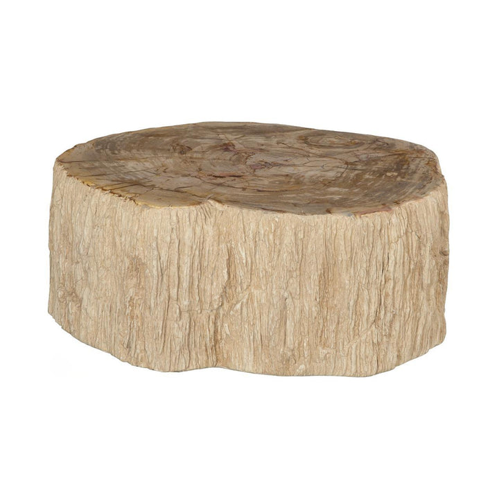 Lithic Petrified Round Coffee Table, Rough, Cream by Phillips Collection — centered product view