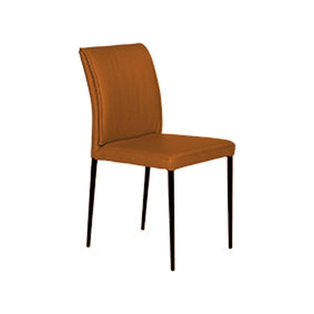 Marina Dining Chair — product (Taji-scaled)