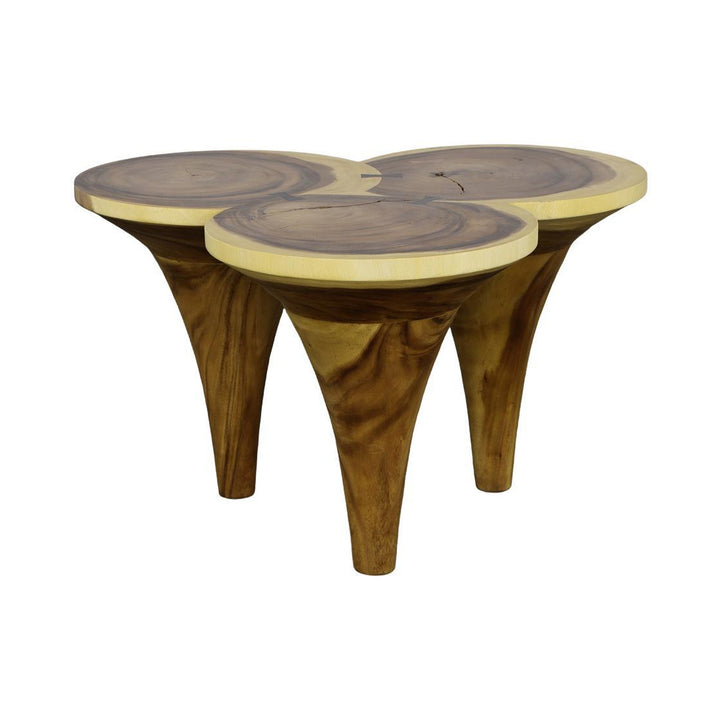 Marley Coffee Table, Natural by Phillips Collection — centered product view