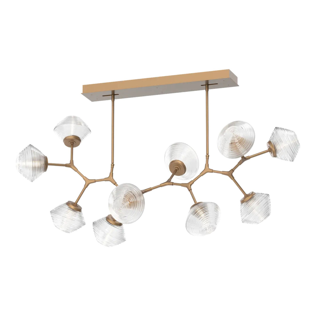 Mesa Modern Branch Chandelier by Hammerton Studio 10 Lights in Novel Brass with Clear glass