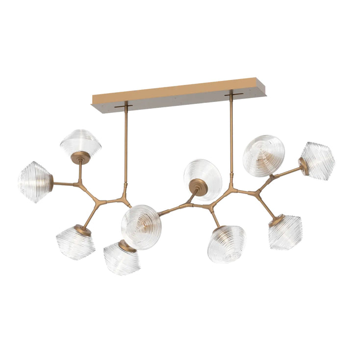 Mesa Modern Branch Chandelier by Hammerton Studio 10 Lights in Novel Brass with Clear glass