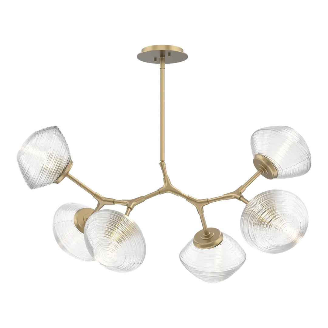 Mesa Modern Branch Chandelier by Hammerton Studio 6 Lights in Gilded Brass with Clear glass