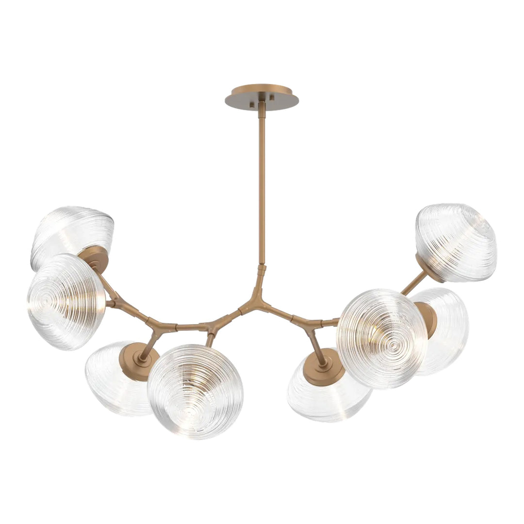 Mesa Modern Branch Chandelier by Hammerton Studio 8 Lights in Novel Brass with Clear glass