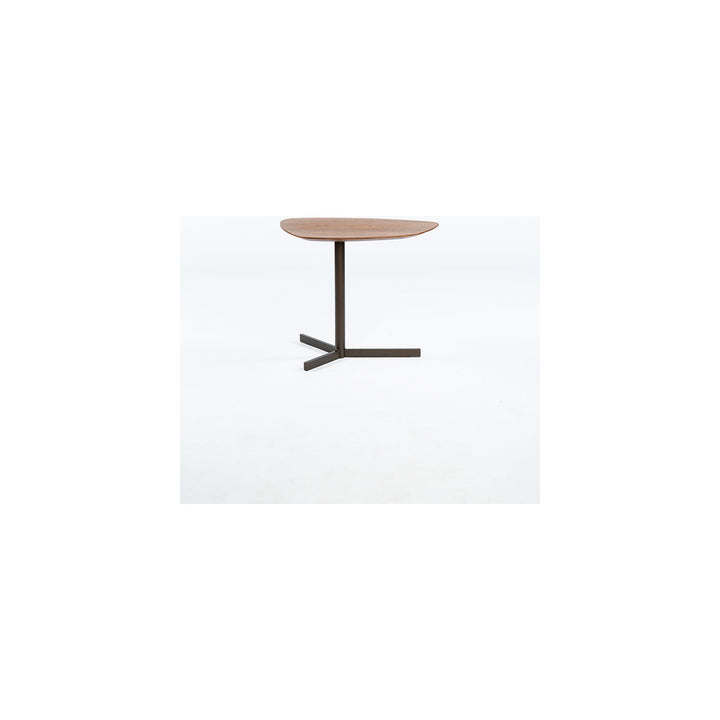 Moka Walnut End Table — product (Taji-scaled)