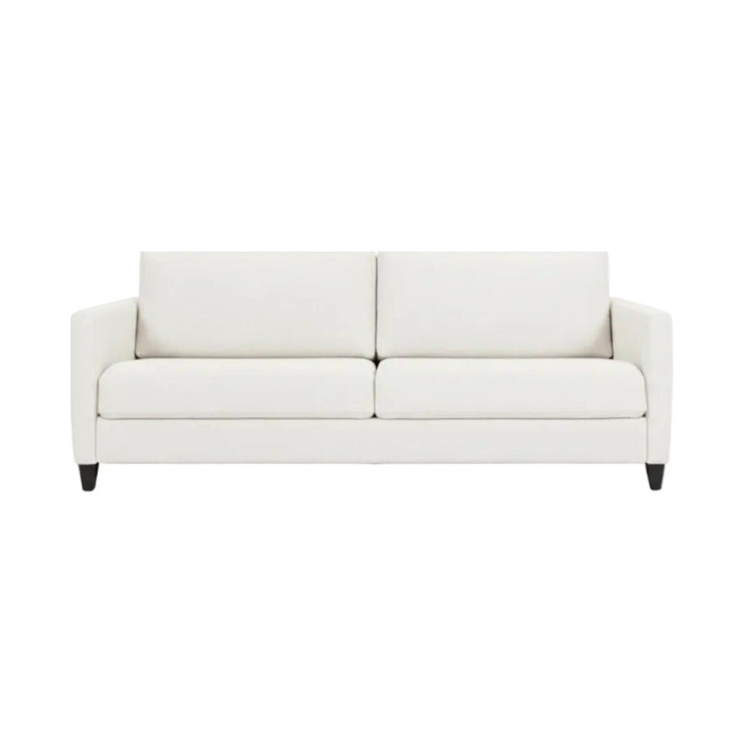Naomi Comfort Sleeper by American Leather — complete centered product view
