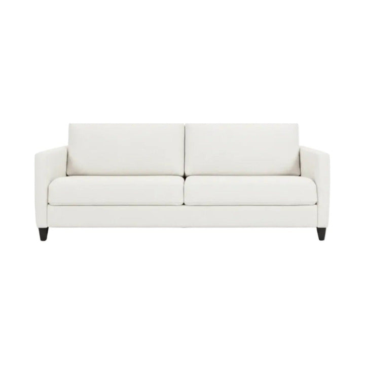 Naomi Comfort Sleeper by American Leather — complete centered product view
