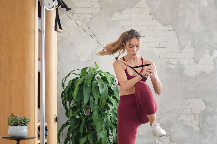 NOHRD Wall Compact full-body training