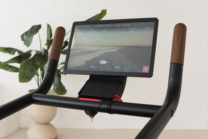 Citius Motorized Treadmill