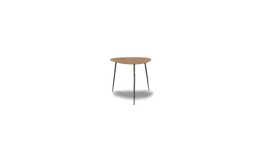 OAKLEY END table in Reclaimed