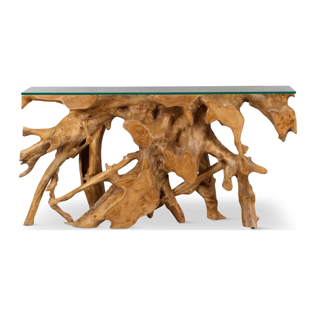 One Solid Teak Root Glass Top Console Table by Modus in Teak Root and Glass — product view on a white background