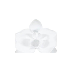Orchid Flower Wall Decor, White, Metal Phillips Collection