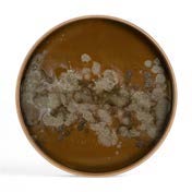 Ethnicraft Organic round tray in metallic bronze