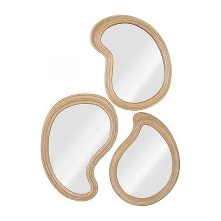 Organic Mirrors, Set of 3 Phillips Collection