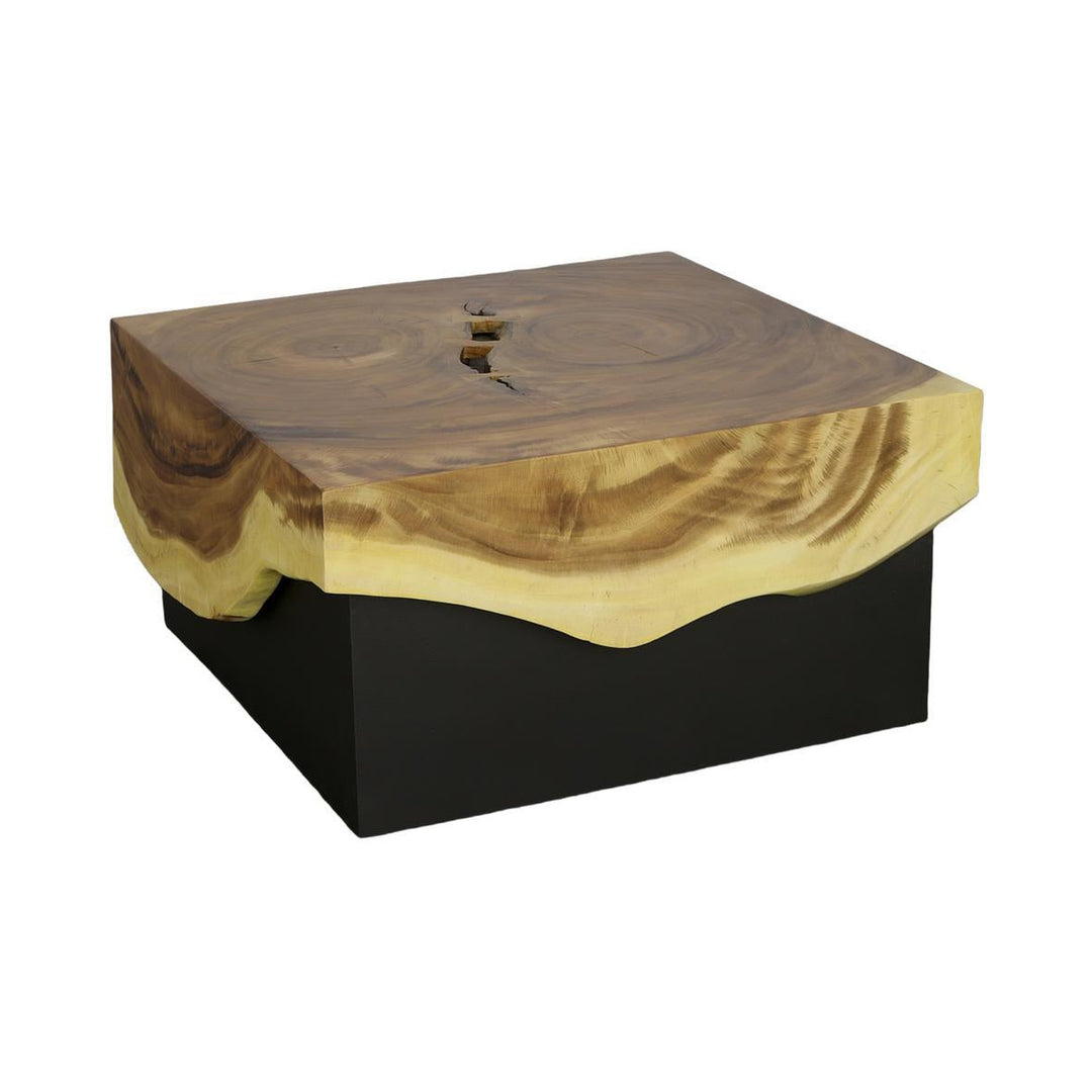 Overflow Coffee Table, Natural, Iron by Phillips Collection — centered product view