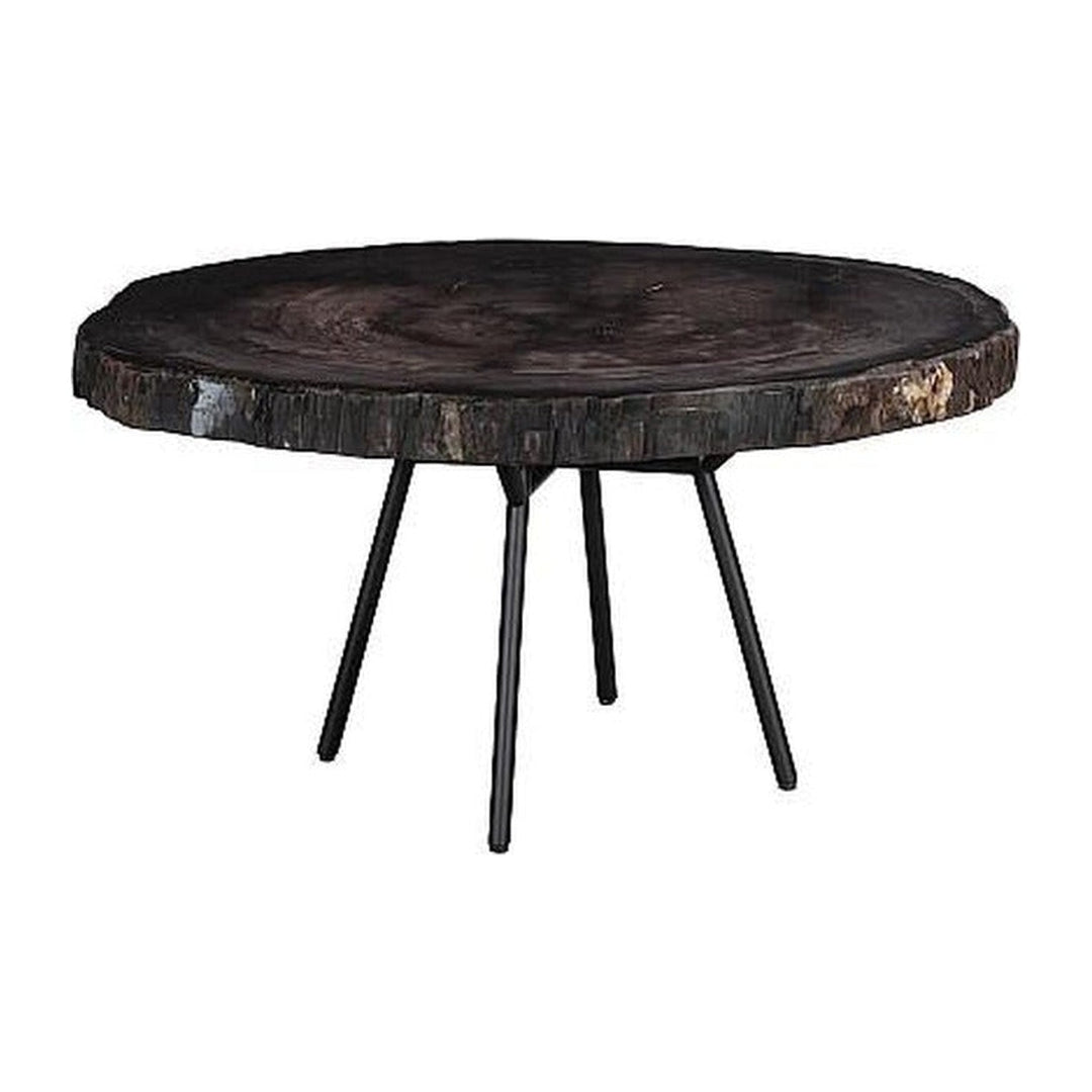 Petrified Wood Coffee Table 30" Phillips Collection