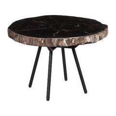 Petrified Wood Coffee Table 24" Phillips Collection