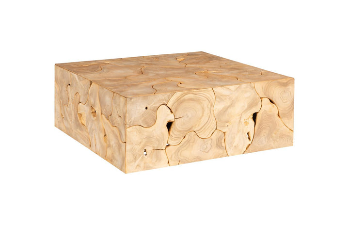 Teak Slice Coffee Table, Square, Bleached by Phillips Collection — view 1