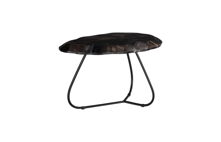 Mosaic Leaf Petrified Coffee Table, Small by Phillips Collection — view 1