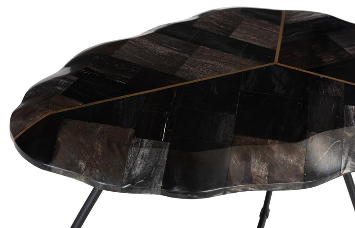 Mosaic Leaf Petrified Coffee Table, Small by Phillips Collection — view 3