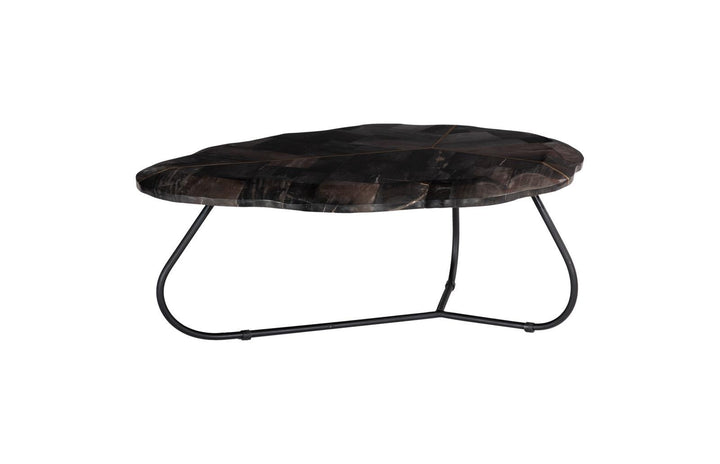 Mosaic Leaf Petrified Wood Coffee Table, Large by Phillips Collection — view 1