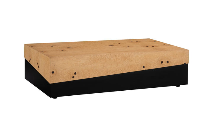Burl Block Coffee Table by Phillips Collection — view 1